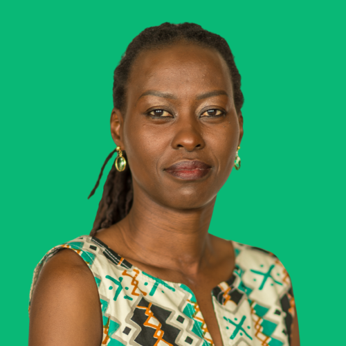 Portrait de Tessa BWANDINGA